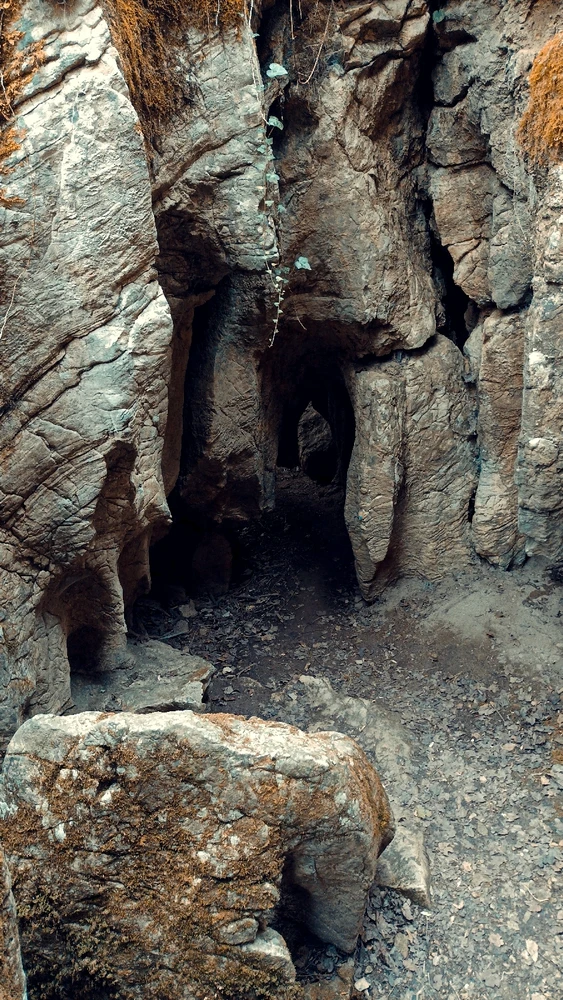 Immagine caricata da Giulio