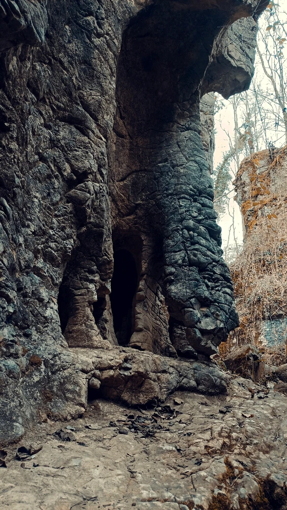 Immagine caricata da Giulio