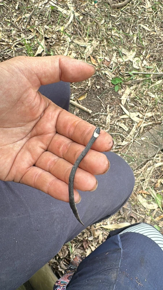 Image uploaded by Ivan