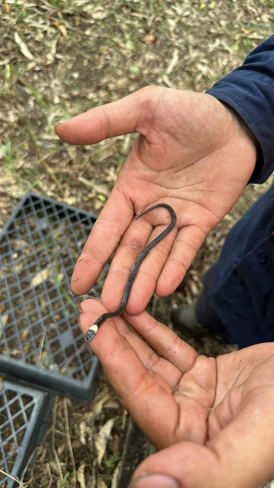 Image uploaded by Ivan