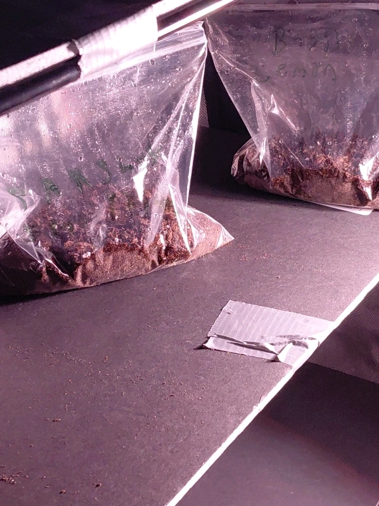 GIF uploaded by David