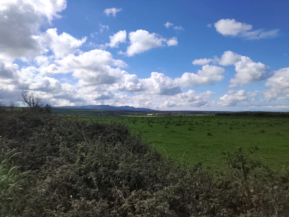 Immagine caricata da Guido