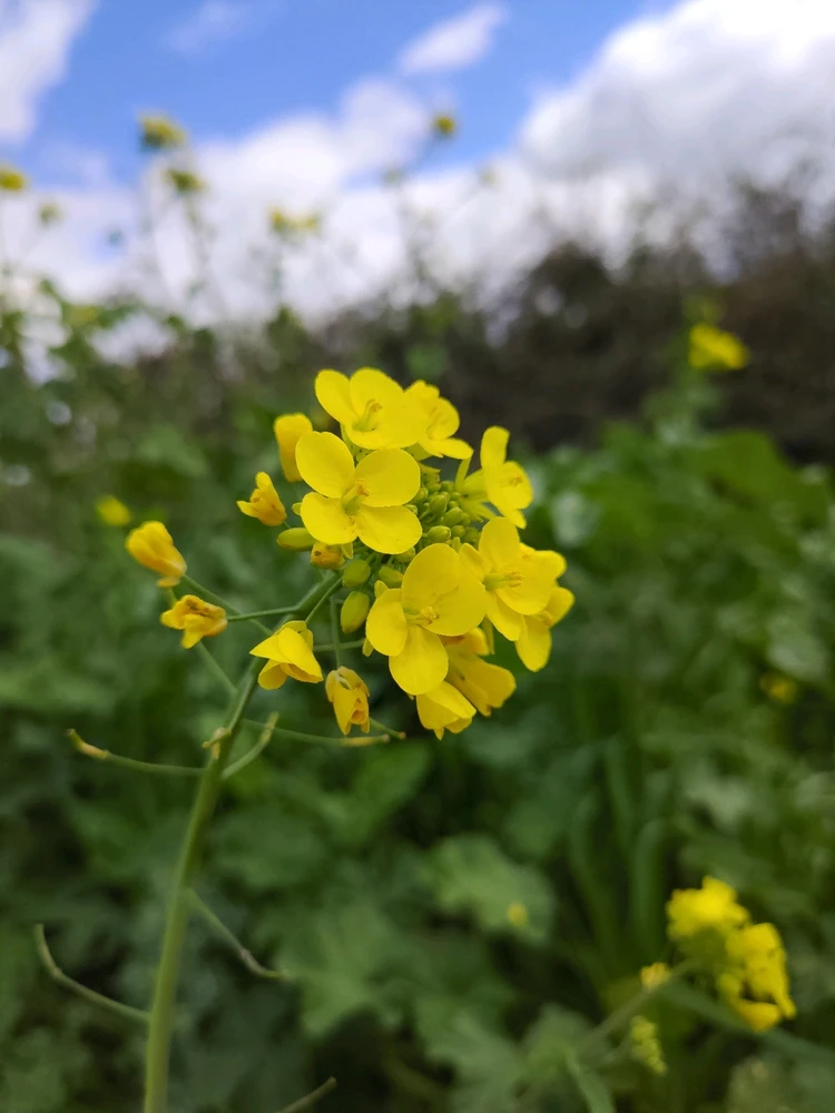 Immagine caricata da Guido