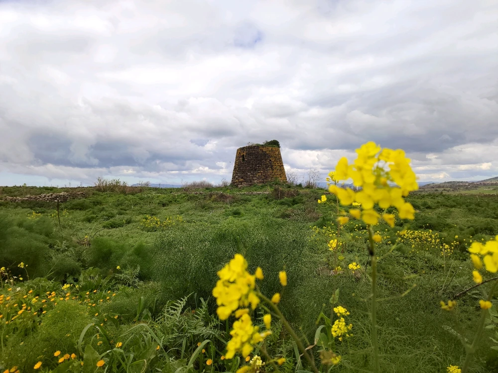 Immagine caricata da Guido