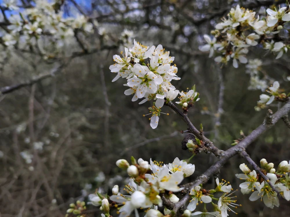 Immagine caricata da Guido