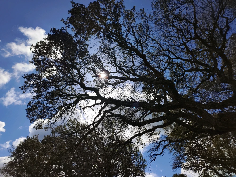 Immagine caricata da Guido