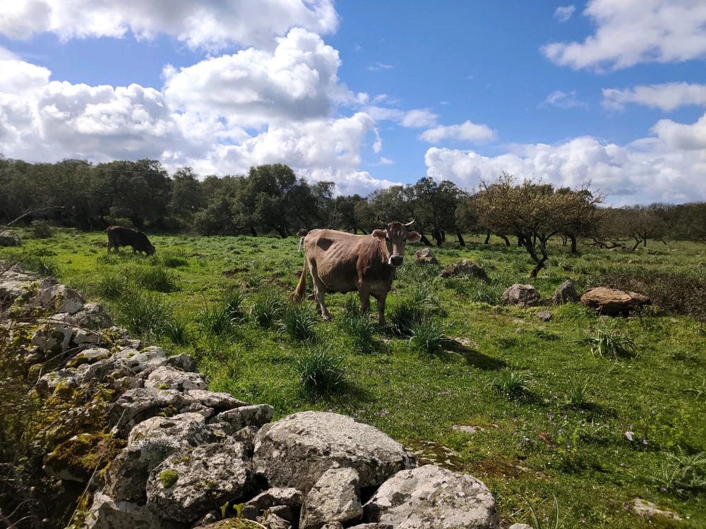 Immagine caricata da Guido