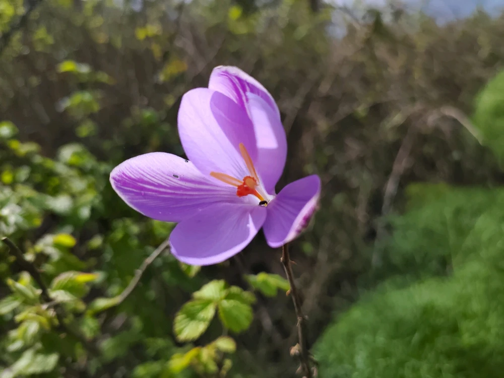 Immagine caricata da Guido