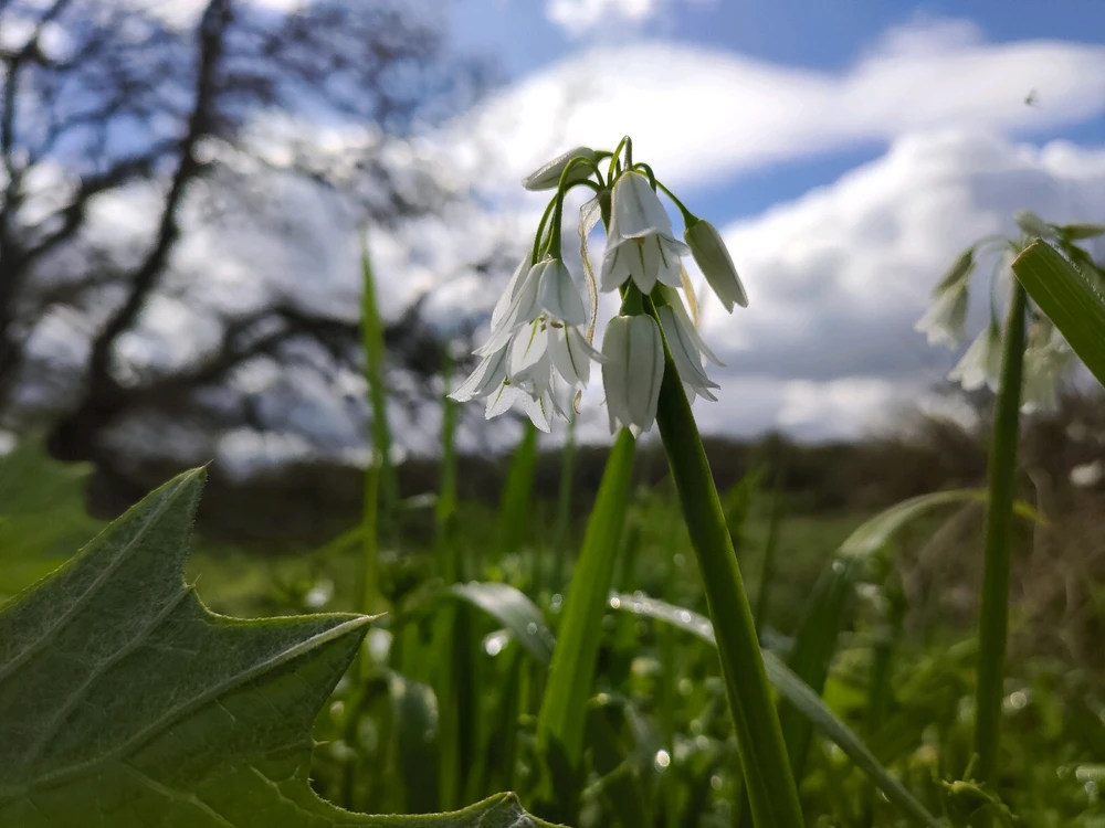 Immagine caricata da Guido