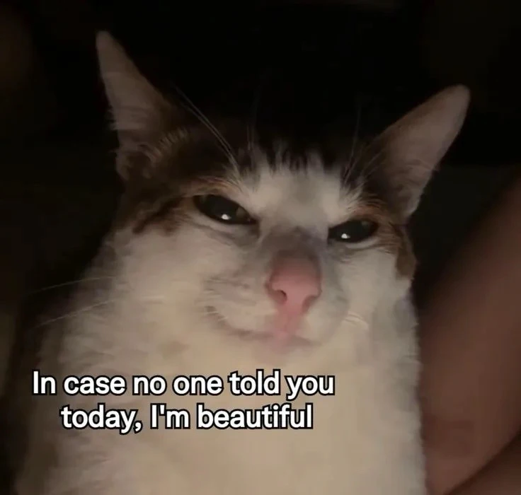 GIF uploaded by Baee