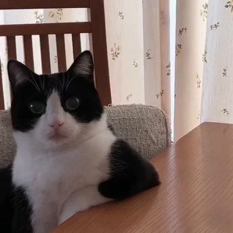 Bild hochgeladen von 🌹✨