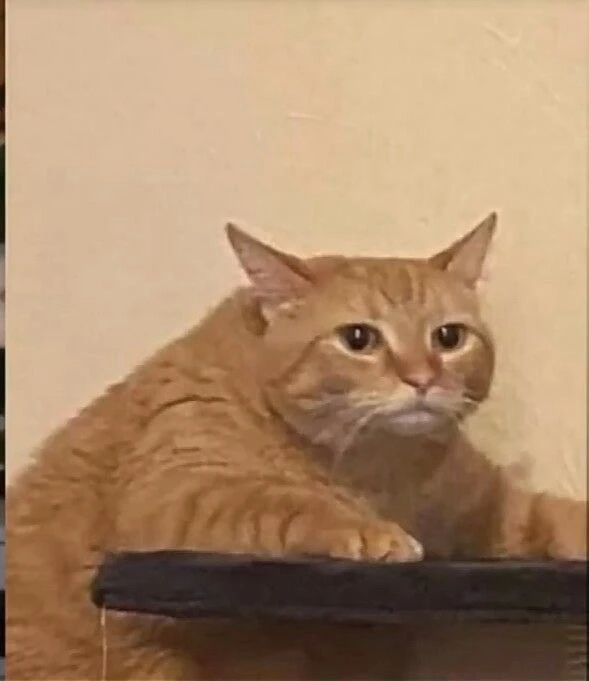 Bild hochgeladen von 🌹✨