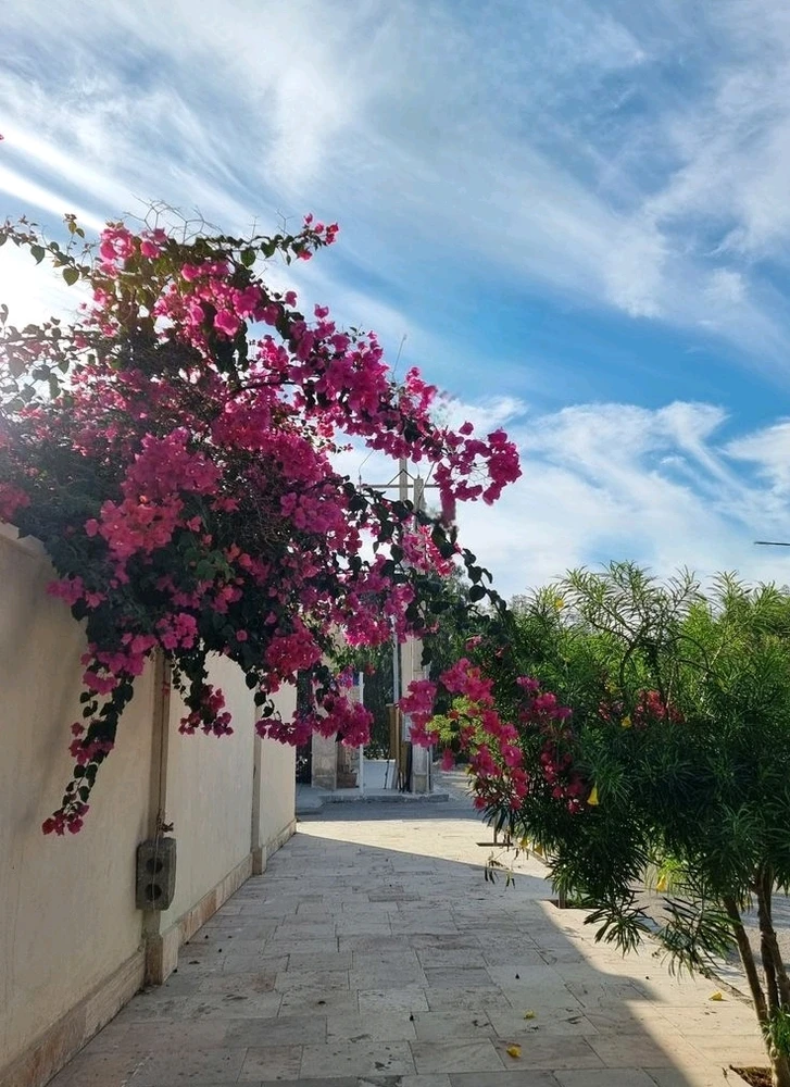 GIF uploaded by 𝑨𝒏𝒆𝒆𝒍..