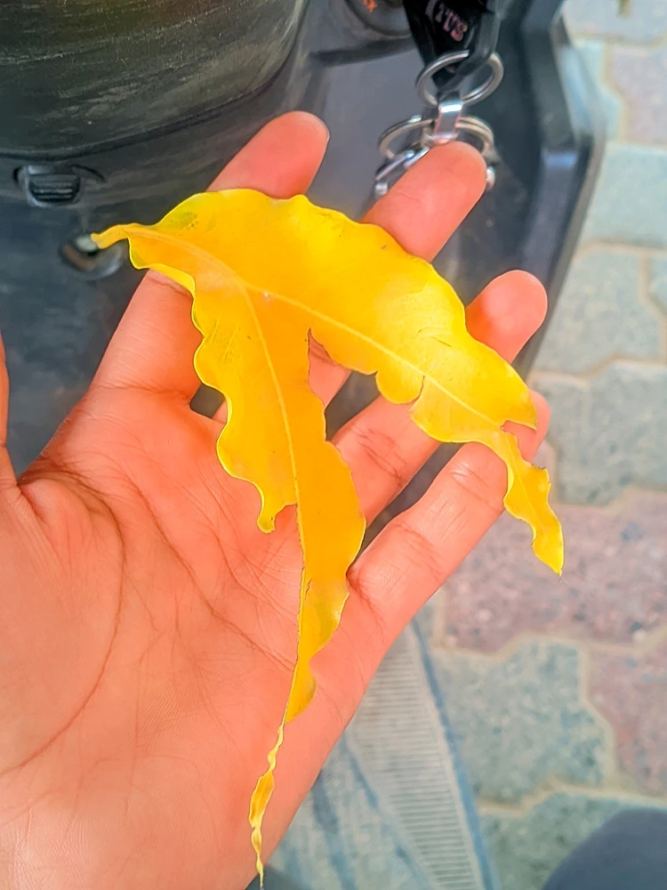 GIF uploaded by Lovely