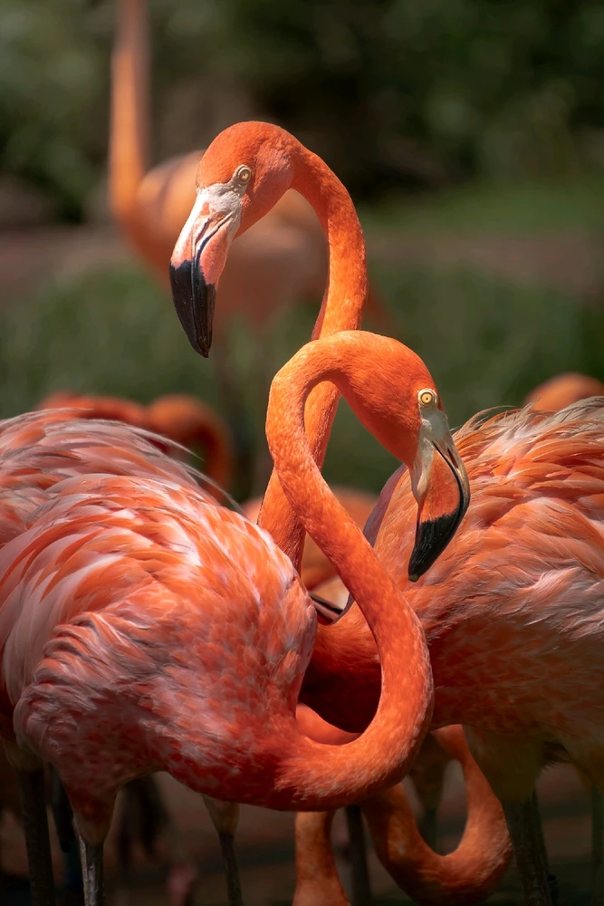 GIF uploaded by Hao Wen