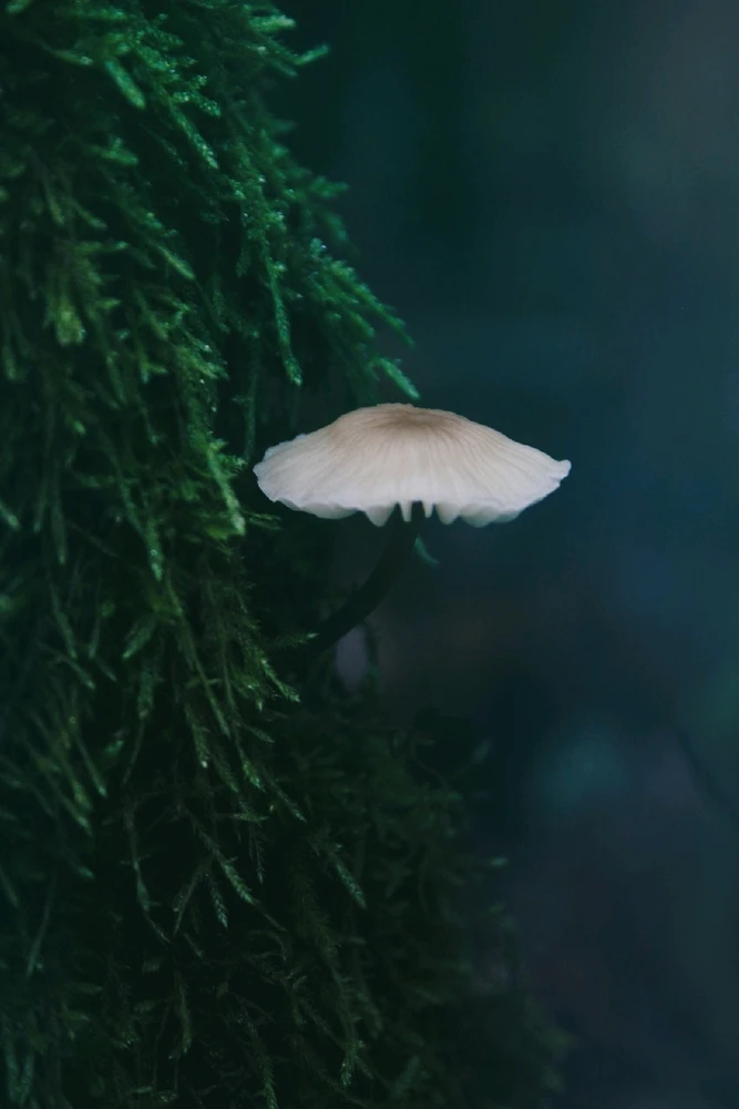 GIF dodany przez Laura