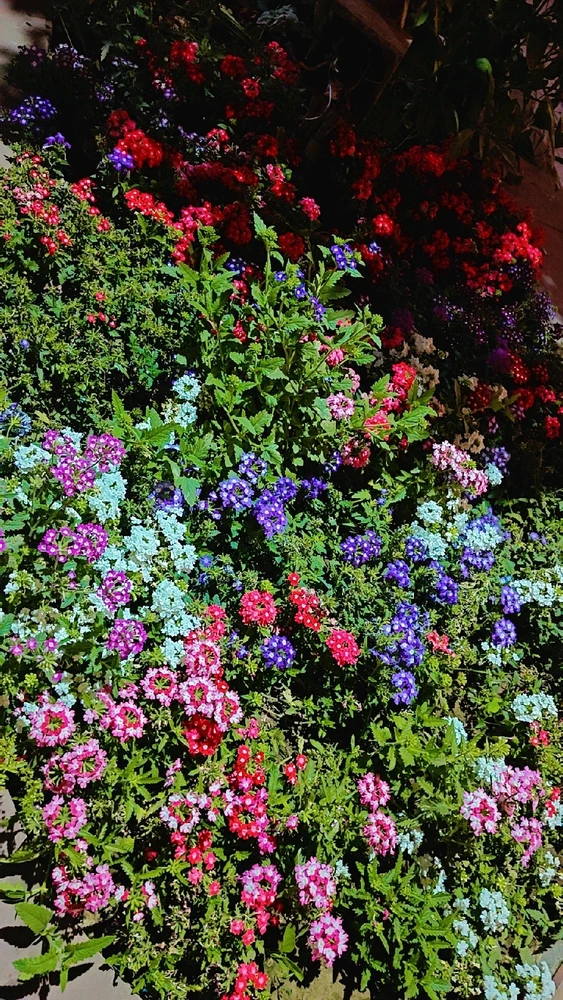 GIF uploaded by Karishma