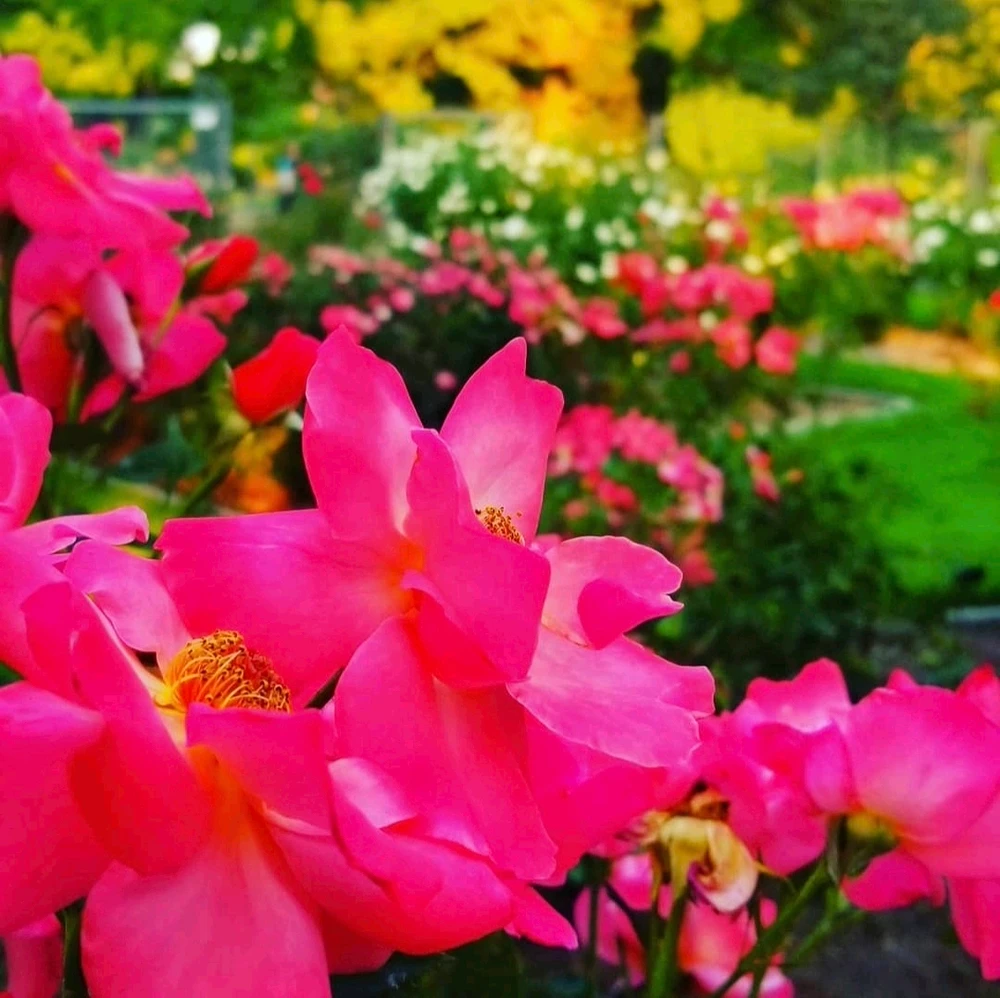 Image uploaded by Sarah