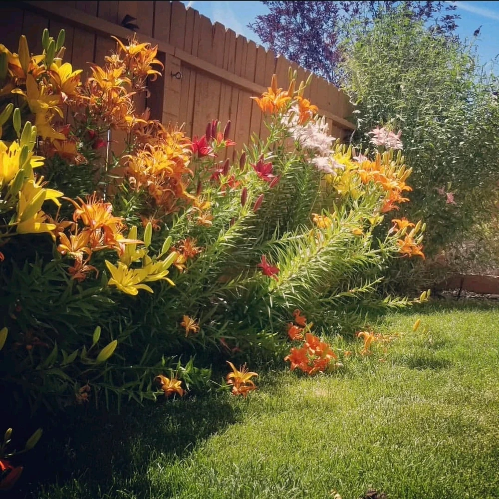 Image uploaded by Sarah