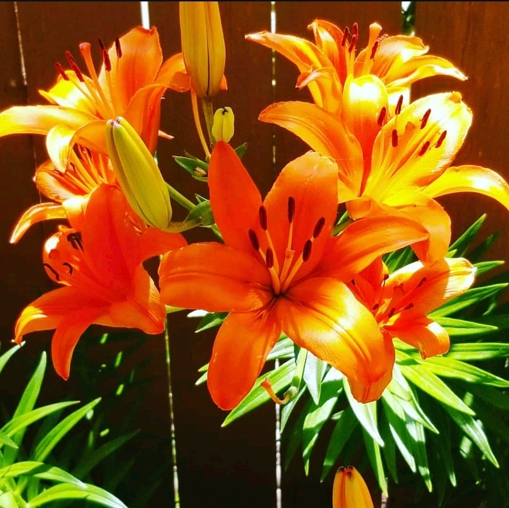 Image uploaded by Sarah