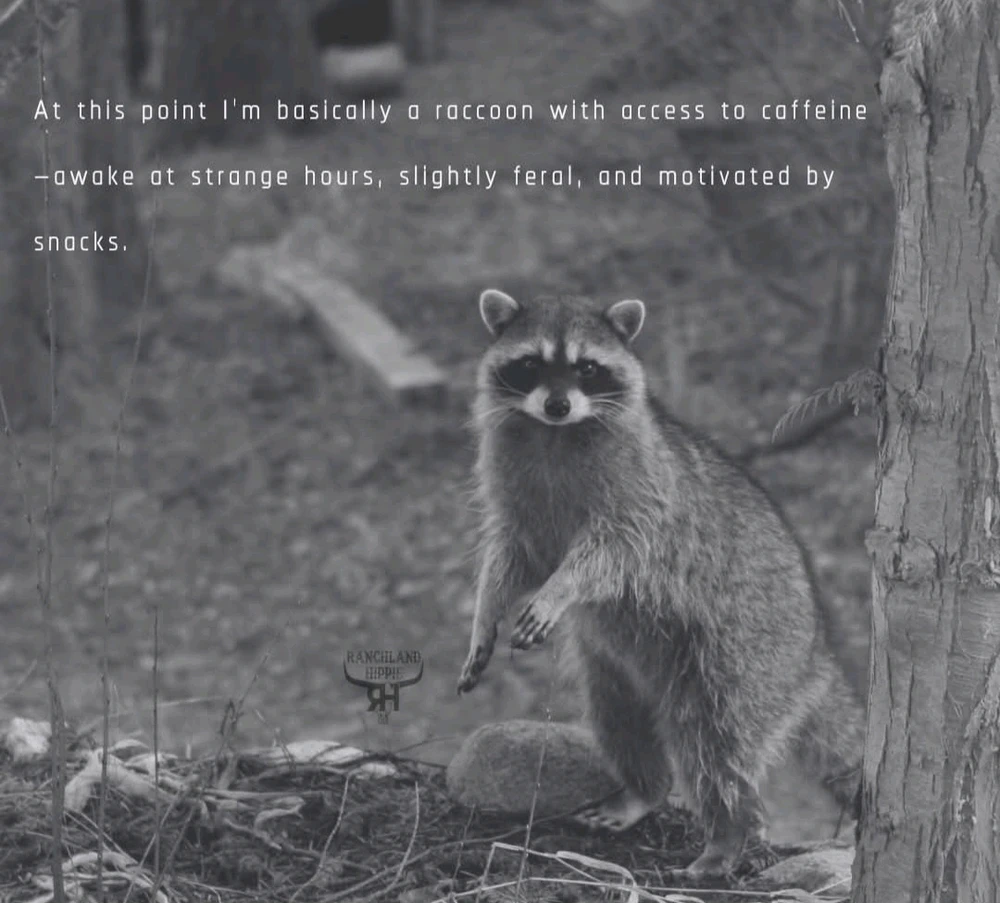 GIF uploaded by Melanie