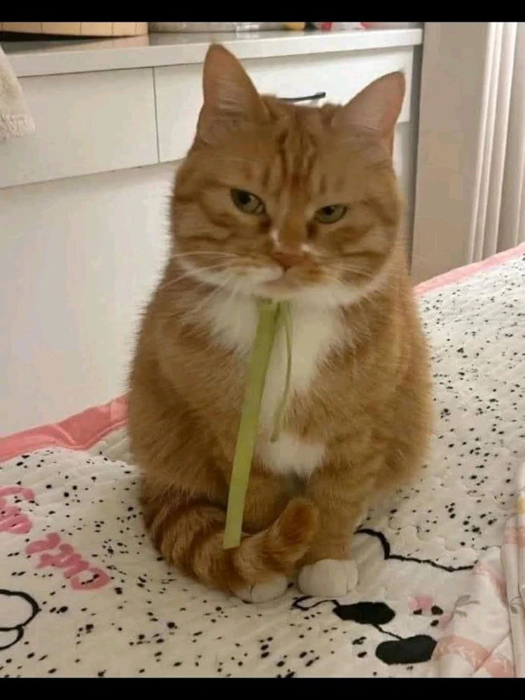 GIF uploaded by Sofia