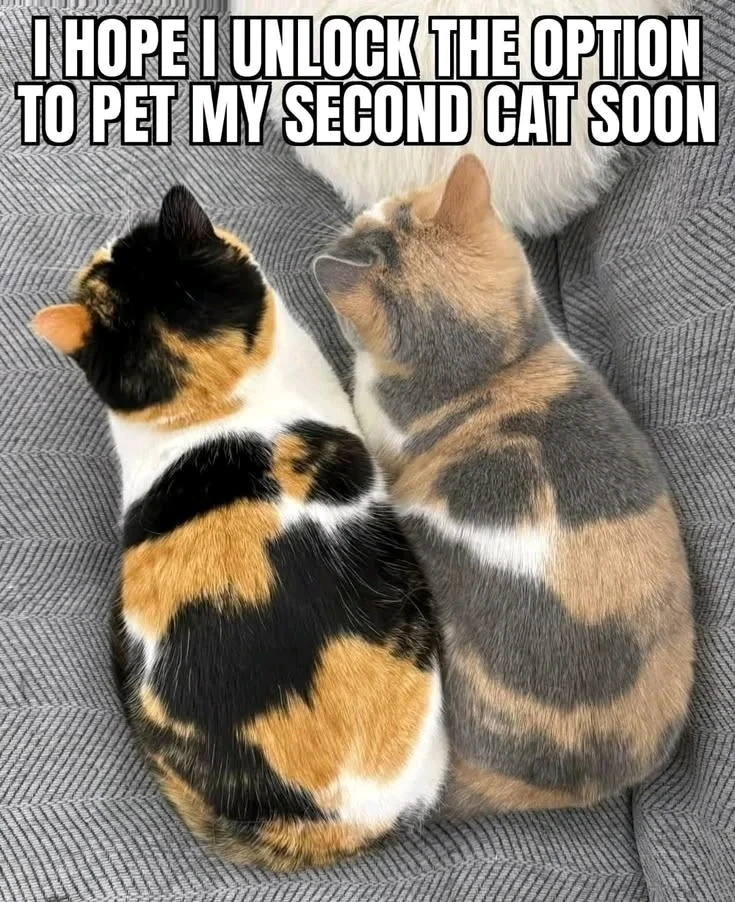 GIF uploaded by Jesse