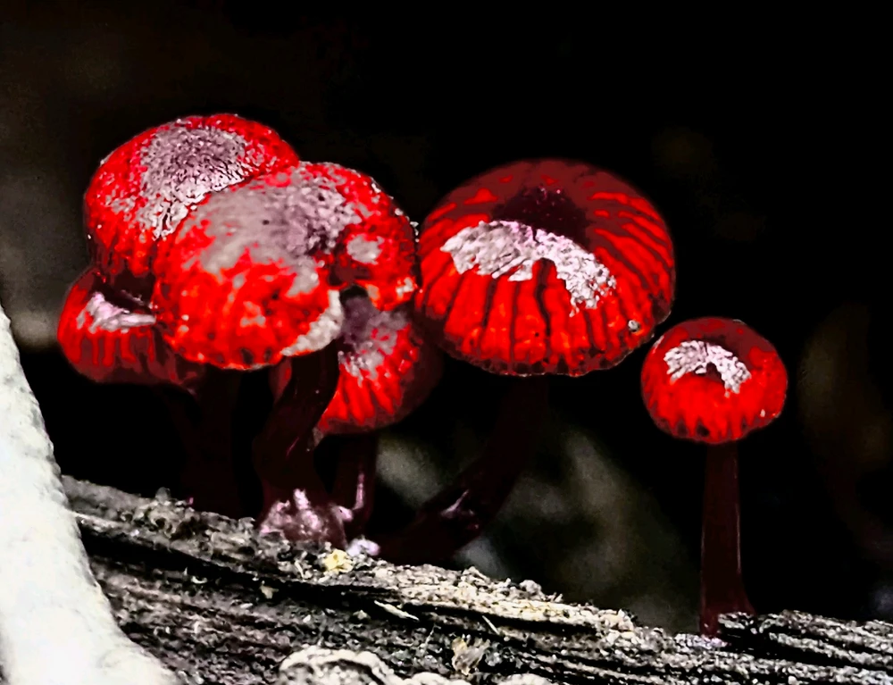 GIF uploaded by Chris