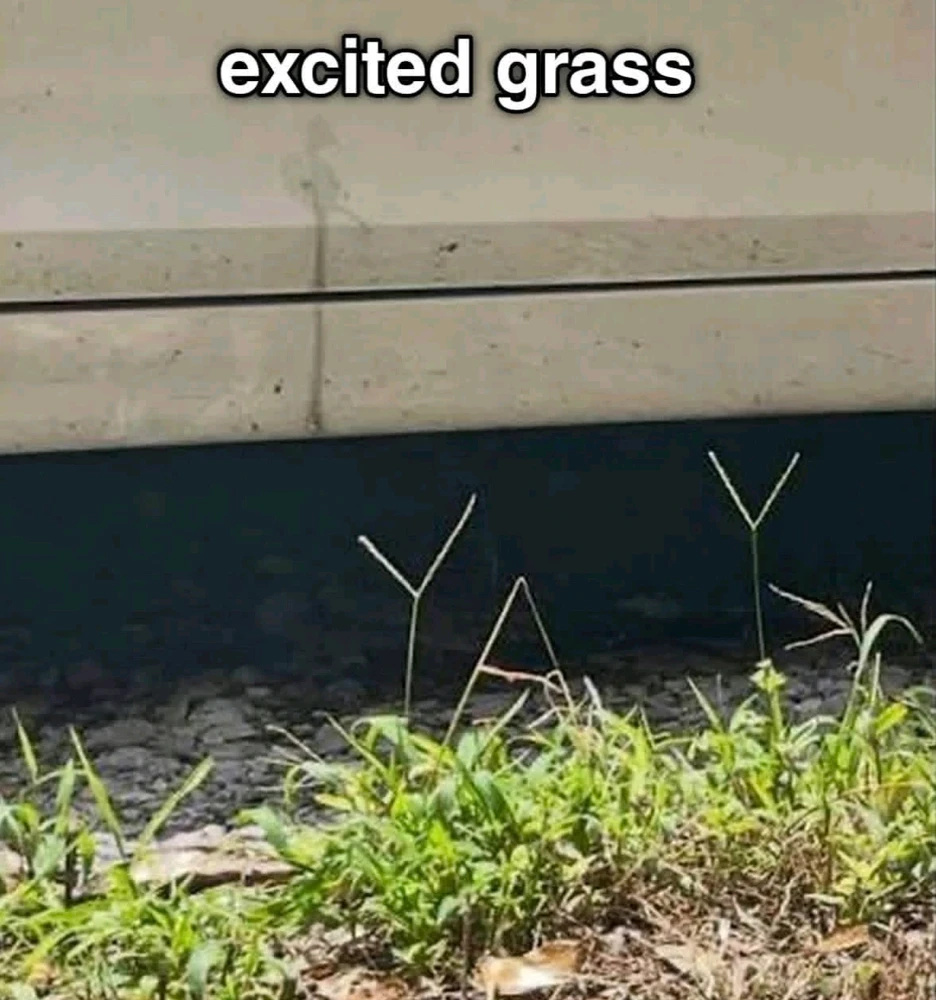 GIF uploaded by ꧁꫱꧂ 𝒴𝓊𝓂𝒿𝑒𝓎 ꧁꫱꧂