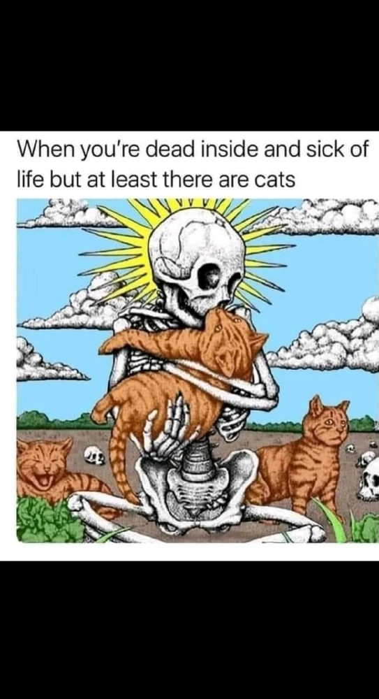 GIF uploaded by Erica