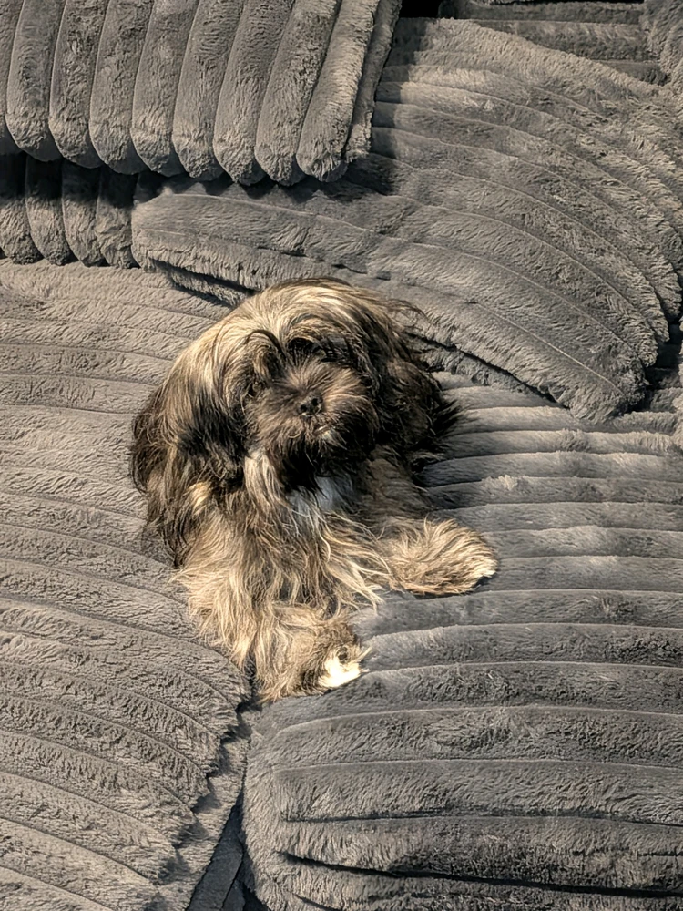 GIF uploaded by Crissie