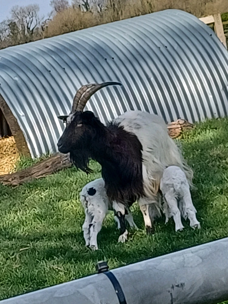 GIF uploaded by Alfie