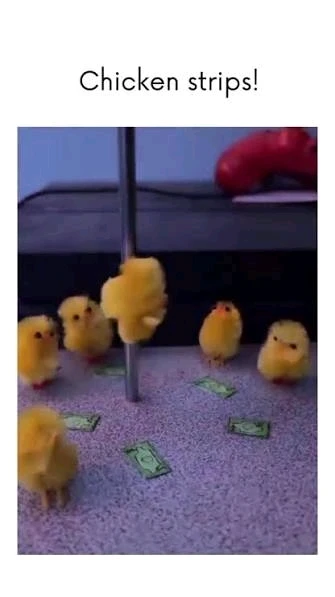 GIF uploaded by Chaz