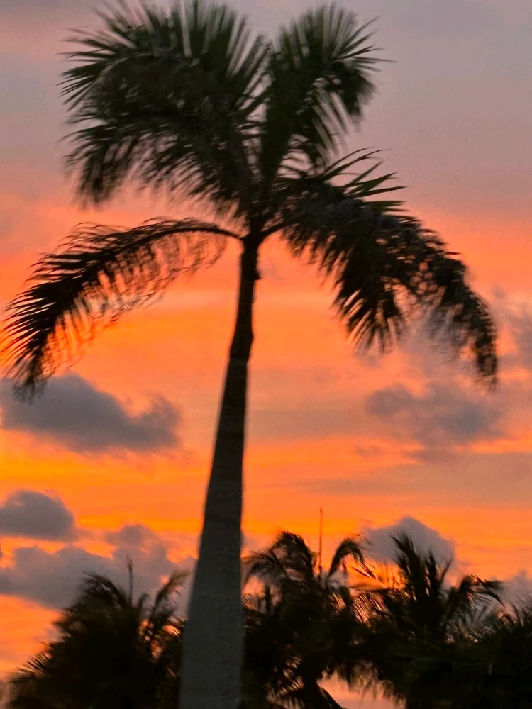 GIF uploaded by Barbara