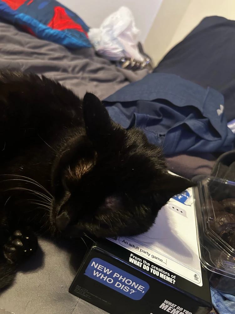 GIF uploaded by Alexzander