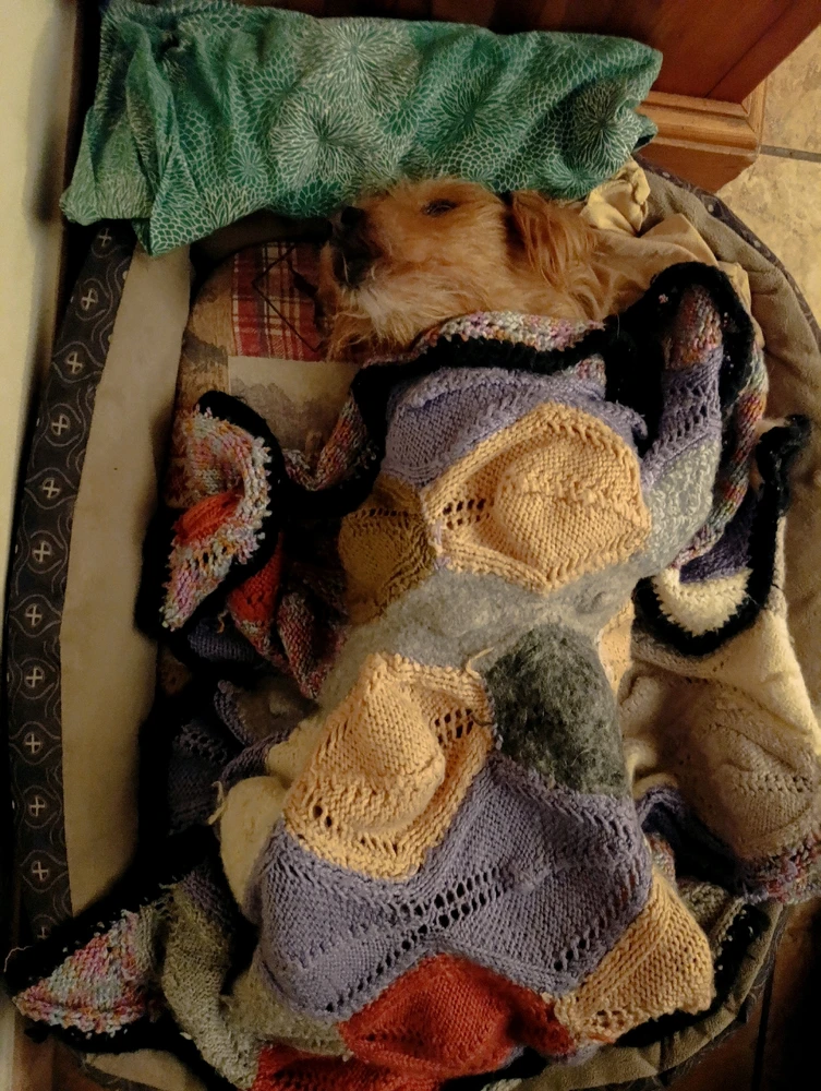 GIF caricata da Andres