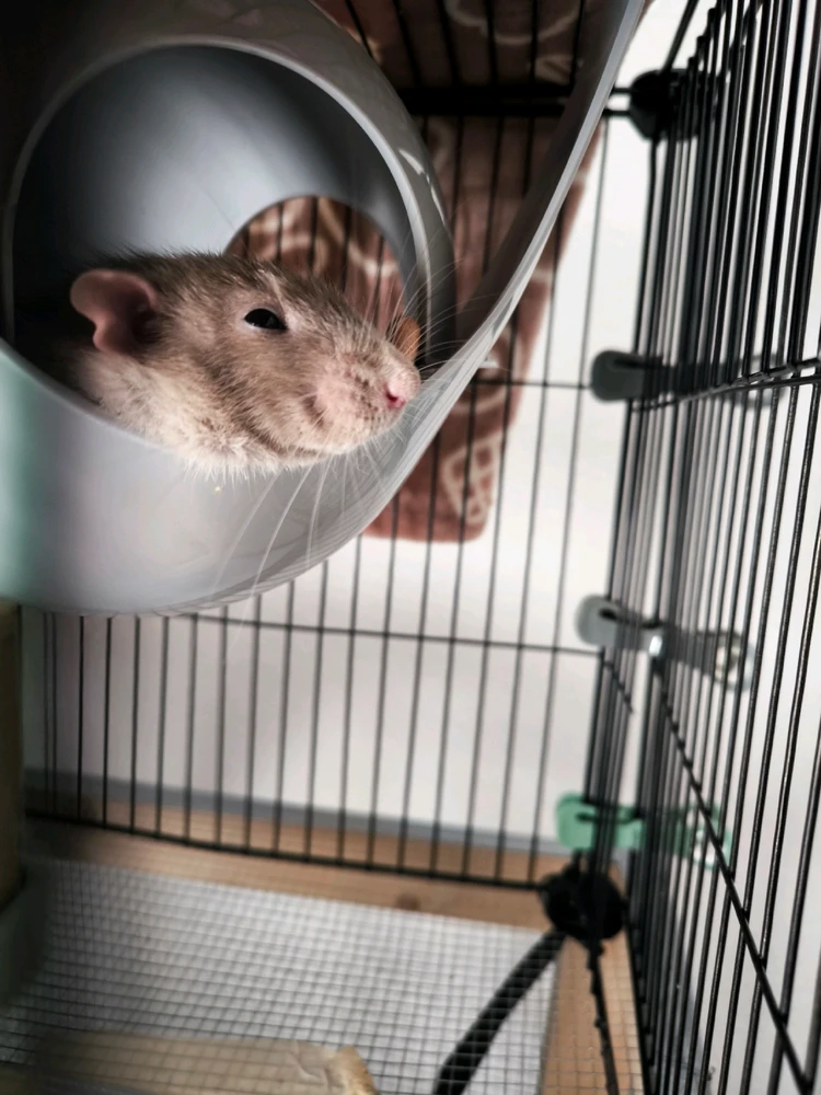 Bild hochgeladen von Luzi