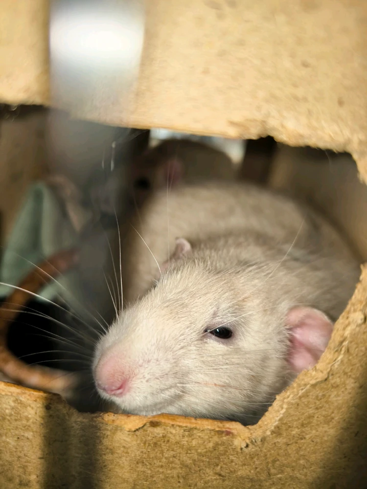 Bild hochgeladen von Luzi