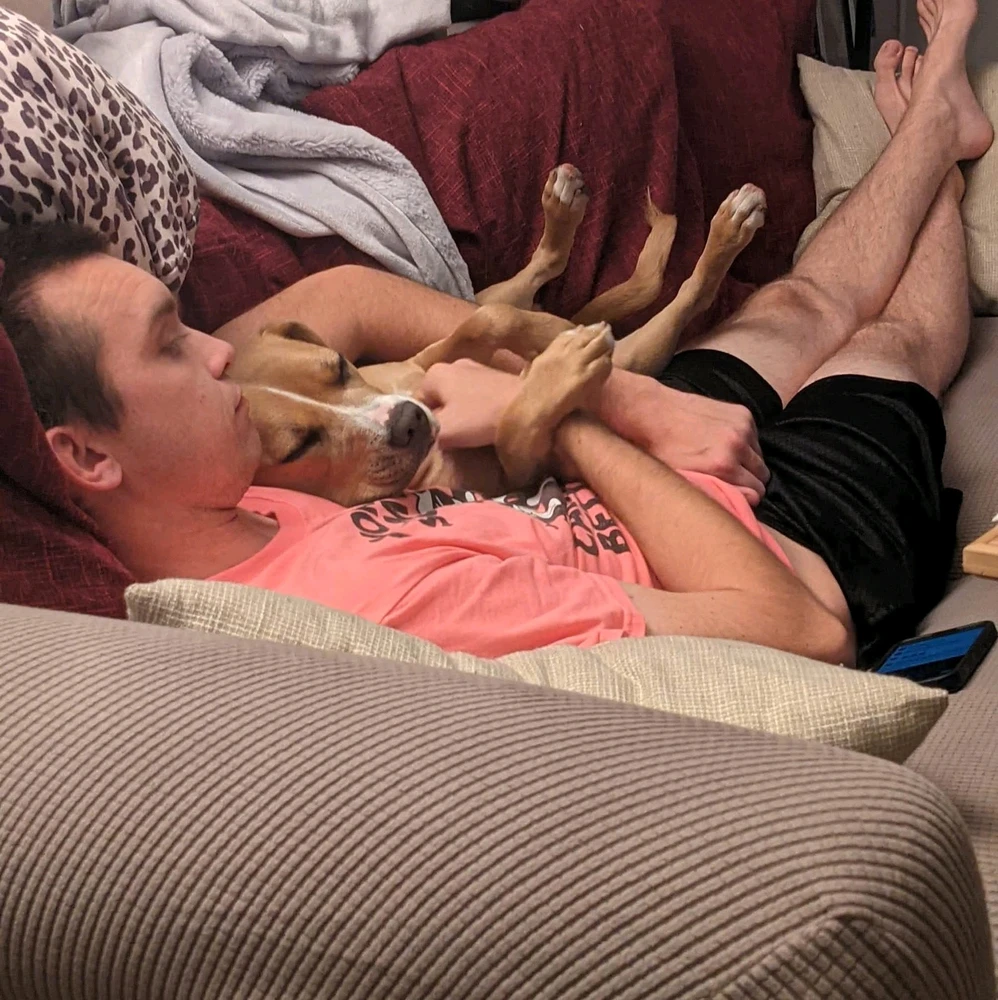 GIF uploaded by Ryan