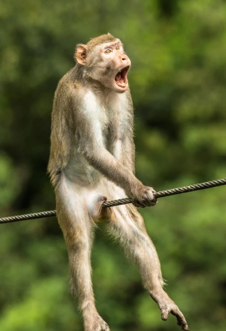 Image uploaded by Karl