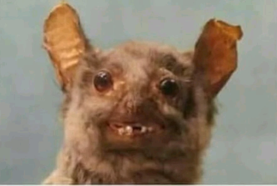 GIF subido por Pav