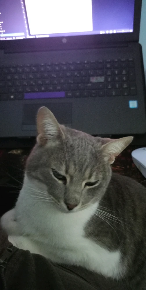 GIF uploaded by MaryTos