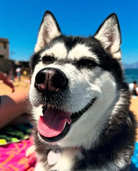 Image uploaded by Karl