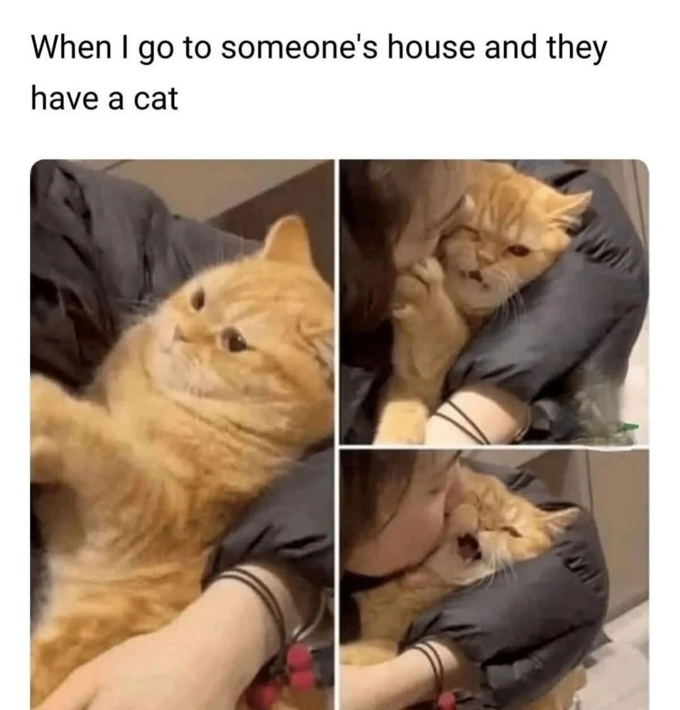 GIF uploaded by Ubaid