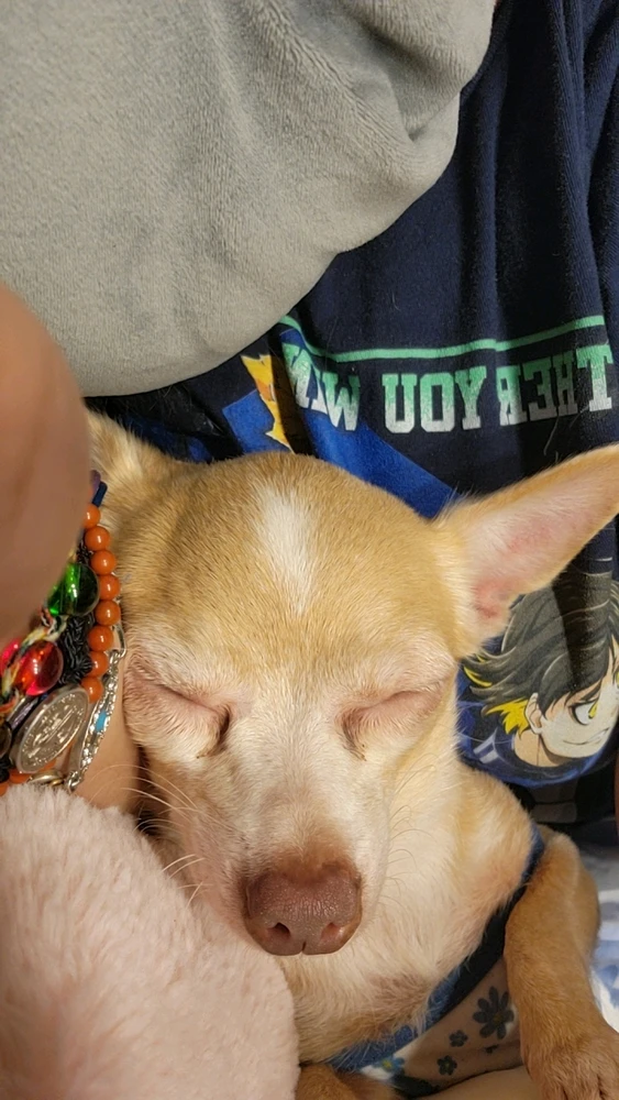 GIF uploaded by jiscell