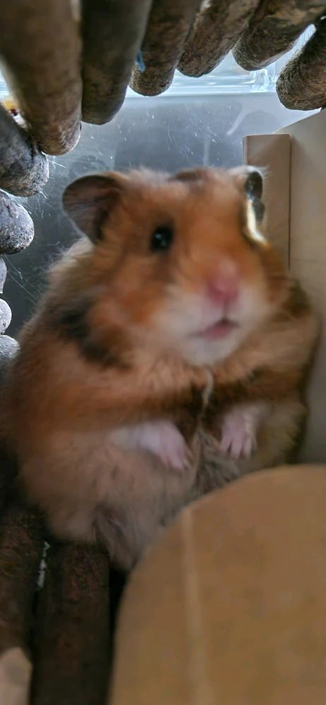 GIF uploaded by Gemma