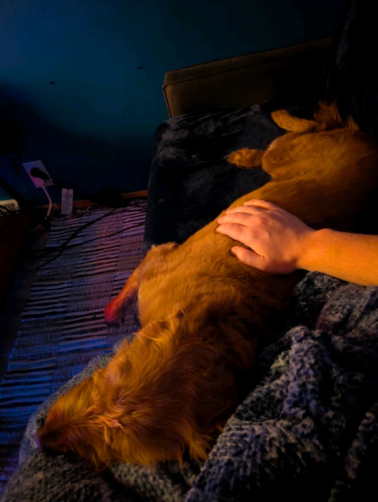 GIF uploaded by Spencer