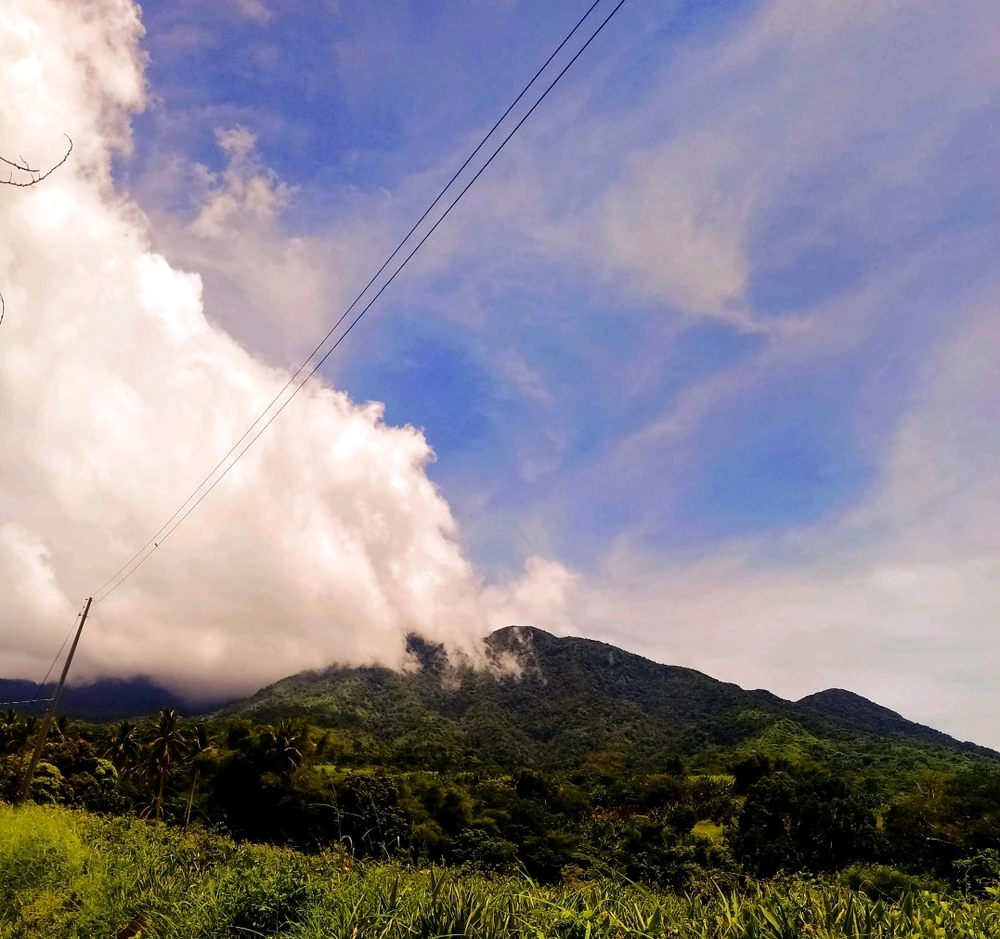 Image uploaded by Trish