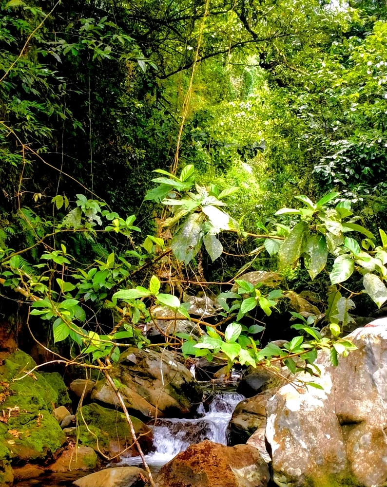 Image uploaded by Trish