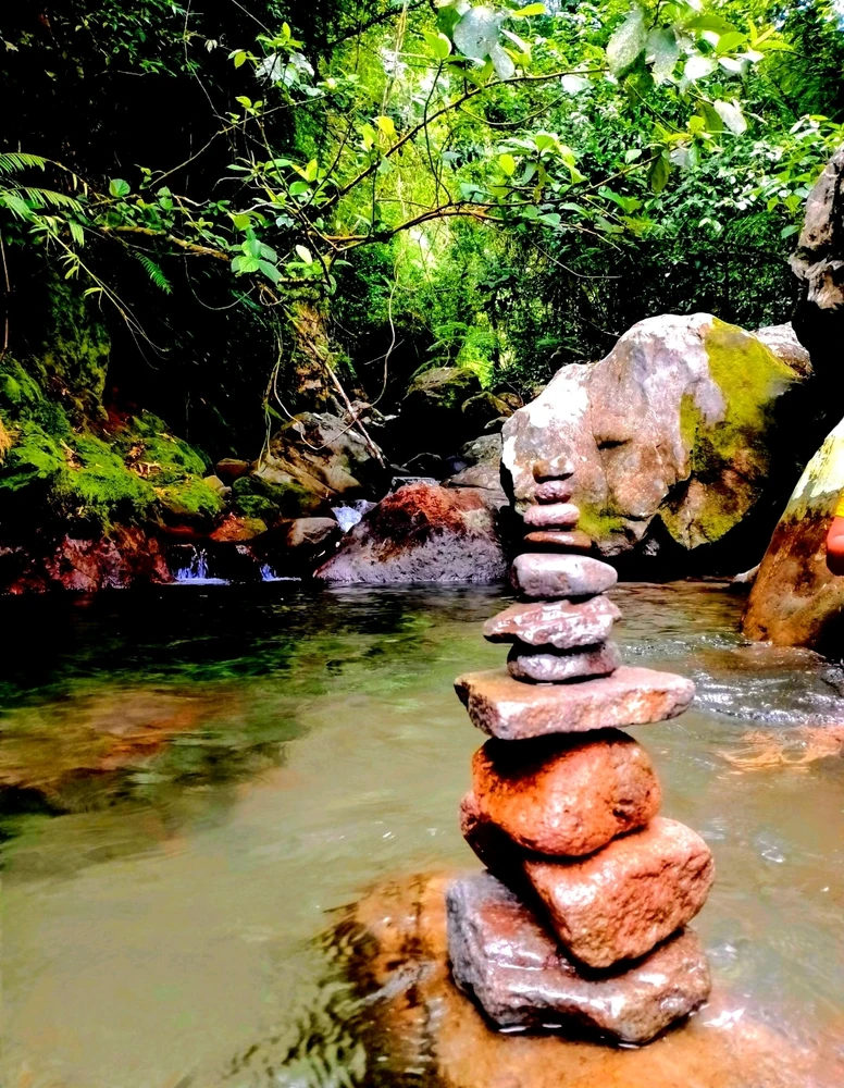 Image uploaded by Trish